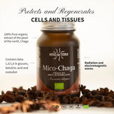 Mico-Chaga