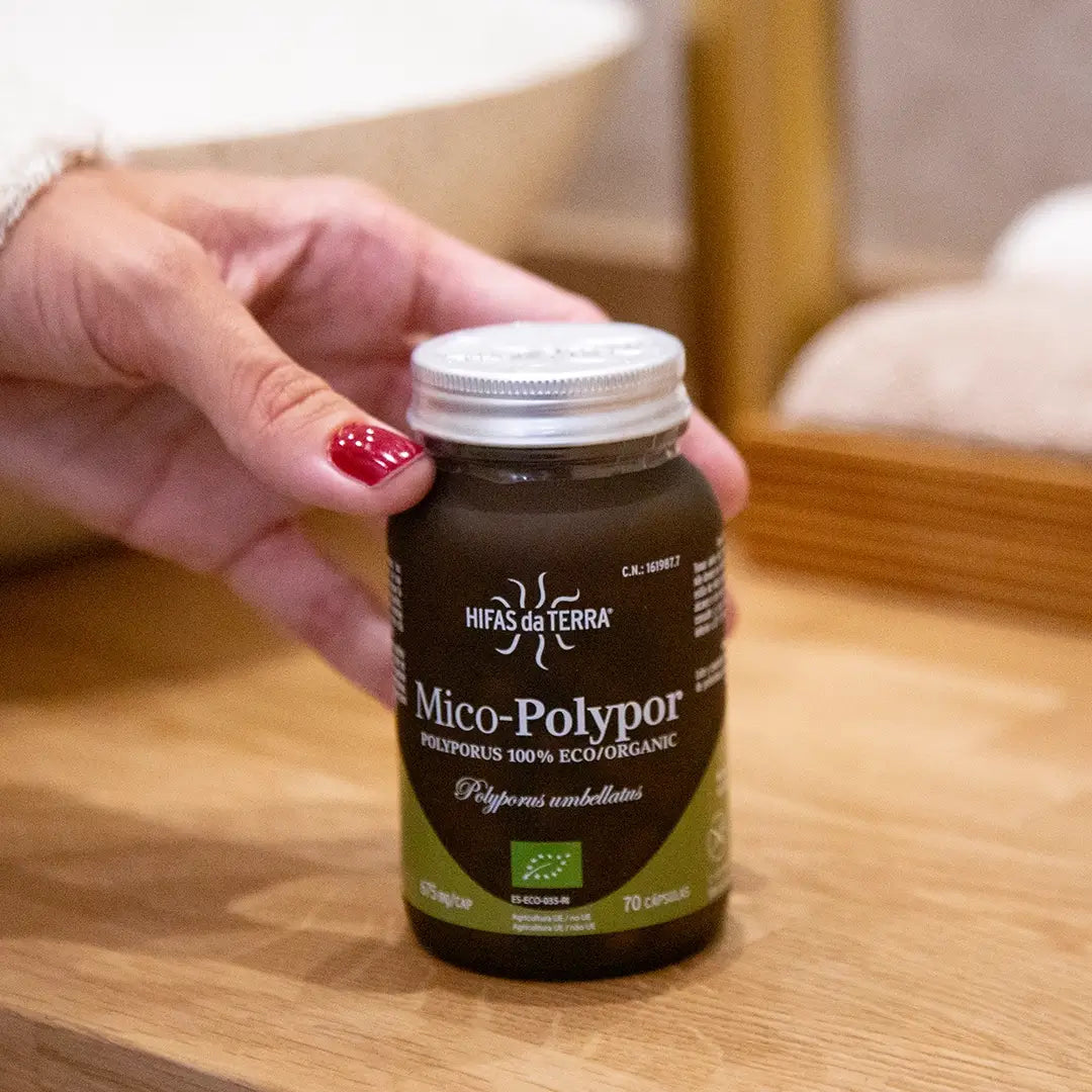 Mico-Polypor