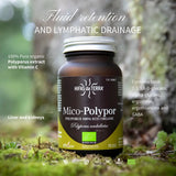 Mico-Polypor