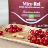 Mico-Rei