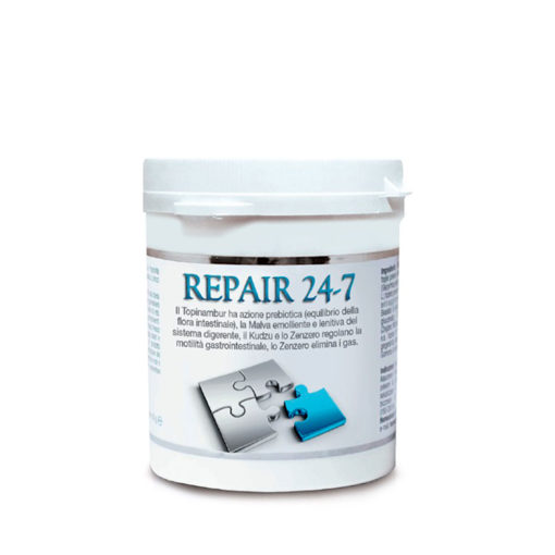 Repair24-7