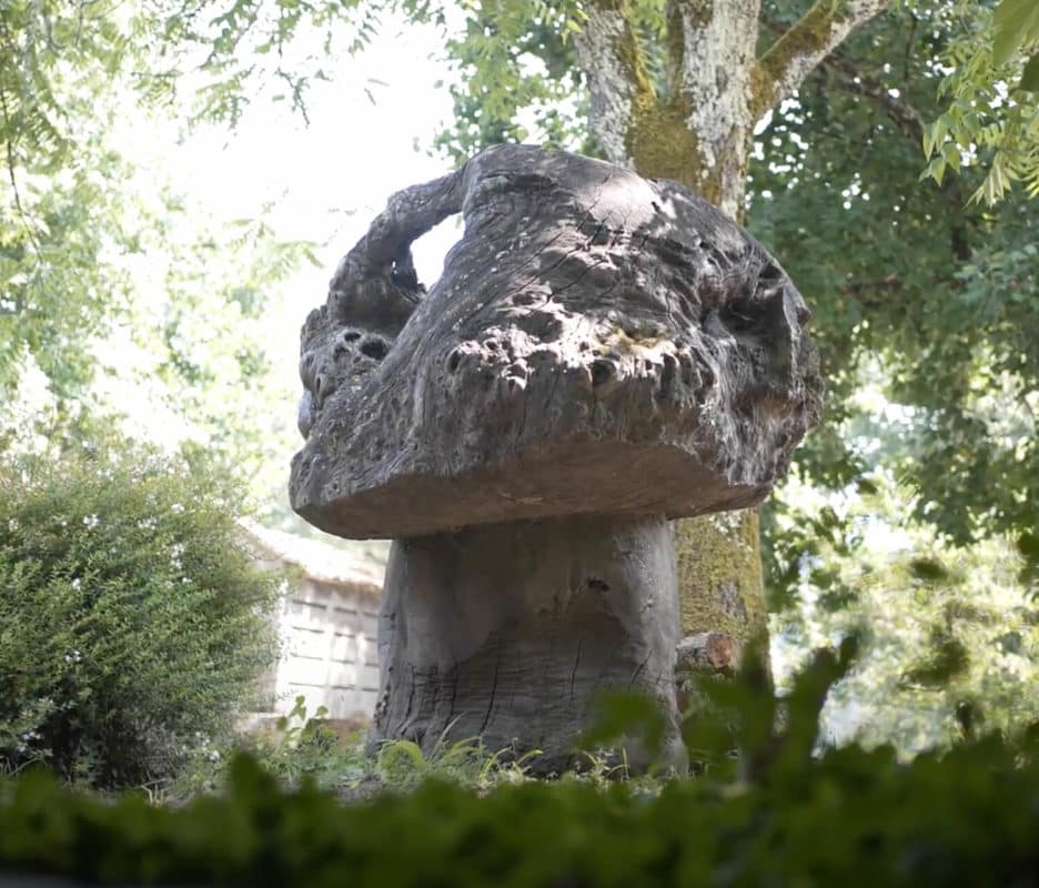 HifasdaTerra-2-936x800-1-1-1.jpeg