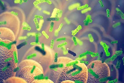 header microbiota uk post (1)